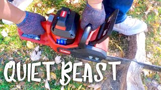Toro Flex-Force Is The Best Cordless Electric Chainsaw