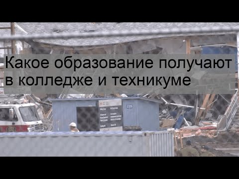 Какое образование получают в колледже и техникуме