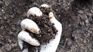 Constructing a Horse Carcass Compost Pile
