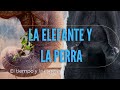 LA ELEFANTE Y LA PERRA ( HISTORIA )