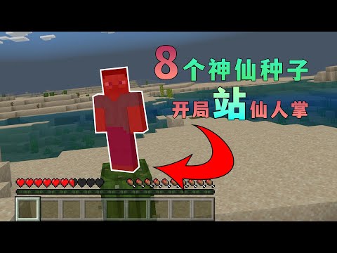Minecraft: 8 fairy seeds, standing on a cactus at the beginning?