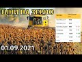 Ціни на зерно! Пшениця знову дорожчає. Соя подешевшала на 4500 грн. Ріпак подорожчав на 500-600 грн.