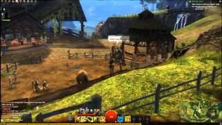 Gw2 - Object Manager (EverBot)