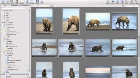 Apple Aperture 3 Embedding and Exporting Metadata