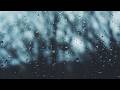 8 Hours Real Rain Sounds for Sleep – Black Screen, No Ads