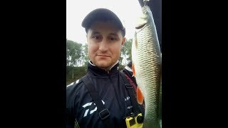 Искал окуня, а попался голавль. Рыбалка на малой реке МО. Вертушка выручалка. Искал окуня, а попался голавль. Рыбалка на малой реке МО. Вертушка выручалка.