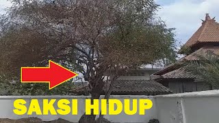 MISTERI petir yang ditangkap KI AGENG SELO