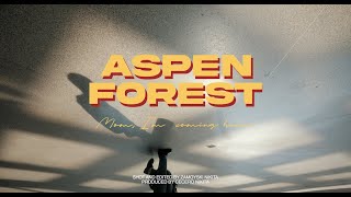 Aspen Forest - Mom, I'm coming home (Music Video)