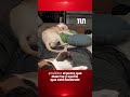 El perro que sueña que baila