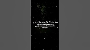 آمن الرسول بما أنزل إليه... 🌙 من أواخر سورة البقرة 🤎 #قرآن #اكسبلور #آية #سورة_البقرة #راحة_نفسية