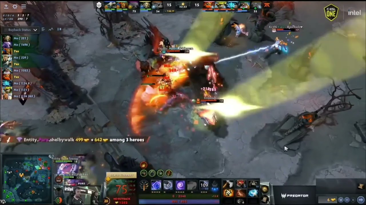 Perfect Timing Fnatic vs Entity 😎