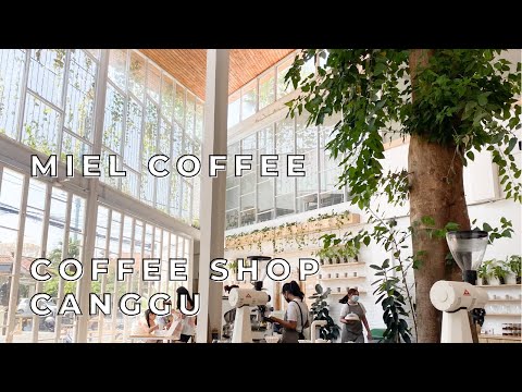 COFFEE SHOP CANGGU, MIEL COFFEE