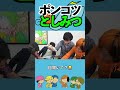 【ポンコツ】としみつ＃東海オンエア＃天然＃切り抜き＃shorts