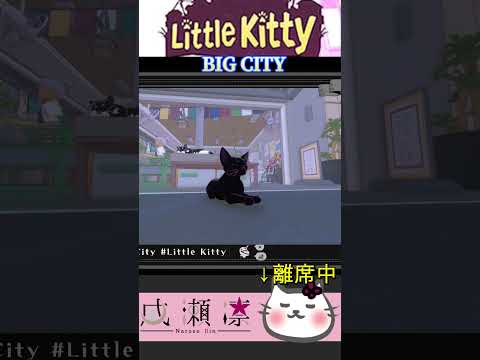 【 Little Kitty, Big City 】猫の周りでは気を付けて下さいね🐈#shorts