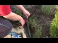How To Install Pop Up Sprinklers - DIY At Bunnings