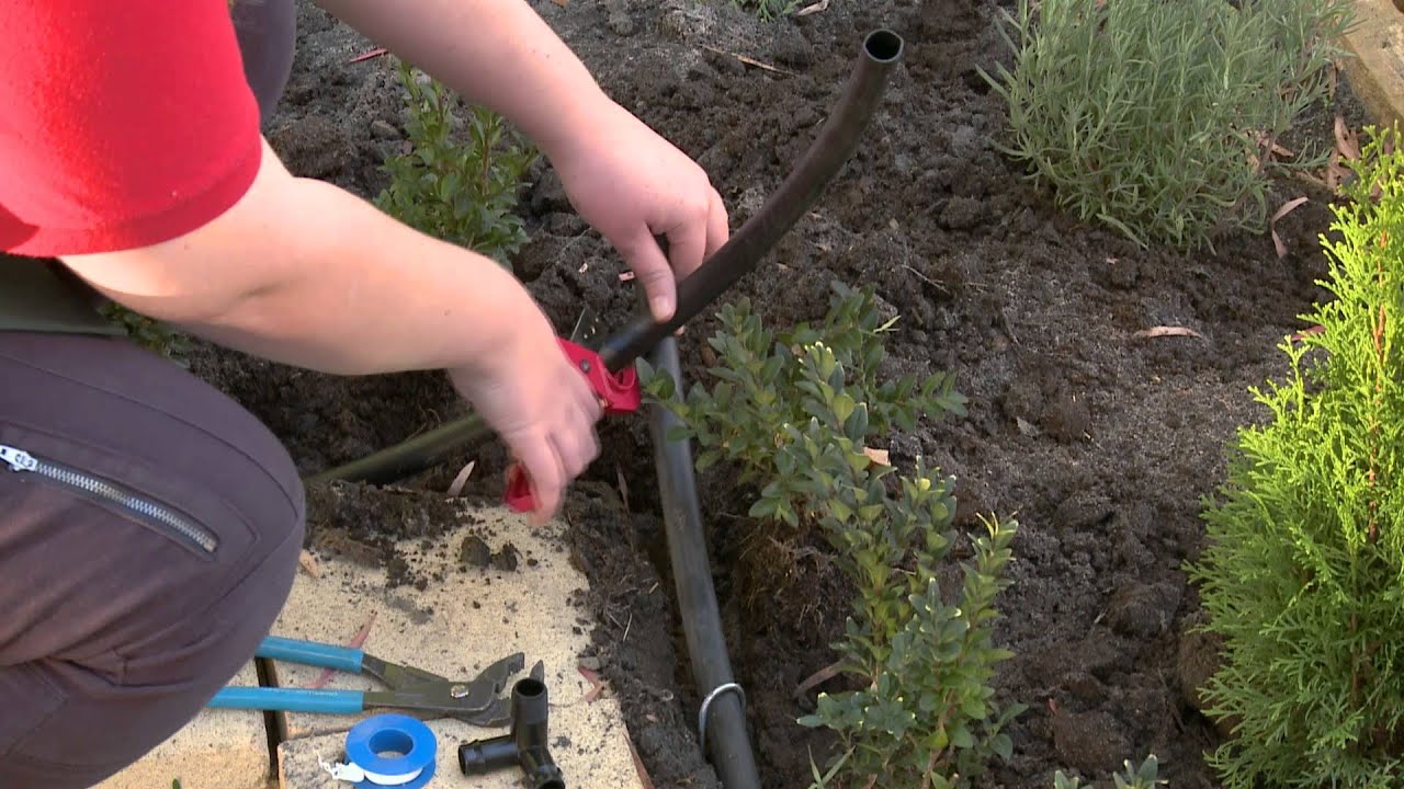 How To Install Pop Up Sprinklers - DIY At Bunnings