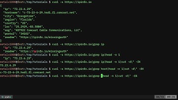 BASH Get GPS Location of Your IP Address Linux Shell Tutorial