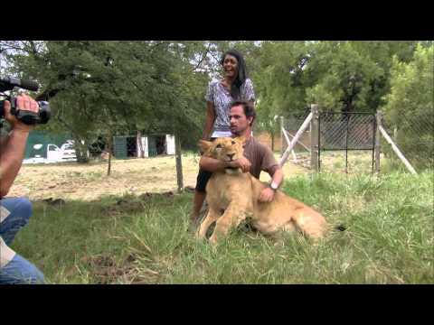Protégeons les félins avec Vahina Giocante - Big Cat Week 2015