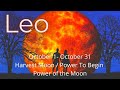 Leo, Beware! The Energy Coming To You Is Not What You Expect