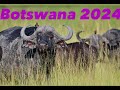 Botswana 2024