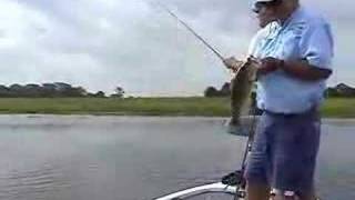 Bass Fishing with Stanley Ribbit Frogs