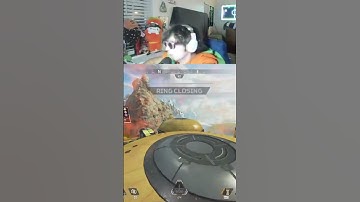 do you like the bocek? #apex #apexlegends