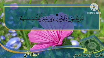سورة الفلق بصوت الشيخ سعد الغامدي