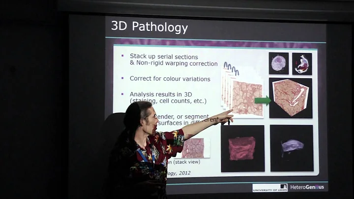Digital Pathology Image Analysis in 2D and 3D: From Research to Practice