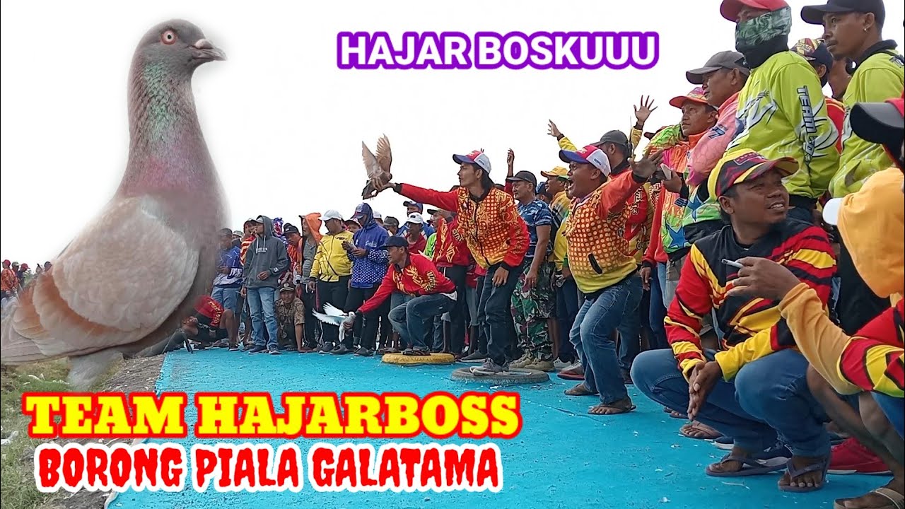 full Galatama sampai grand final raci Pasuruan 4 mei 2024