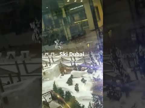 Ski Dubai mall of the emirates