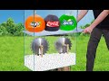 Experiment: Giant Balloons of Coca Cola & Fanta & Sprite VS Mentos