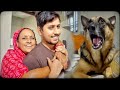 Most Jealous German Shepherd Dog Aggressive Reaction