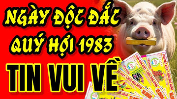 NGÀY NÀY ĐẾN! 8 NGÀY TỚI, TỬ VI QUÝ HỢI 1983 TRÚNG SỐ. LĨNH TIỀN ĐỔI ĐỜI GIÀU VÔ ĐỐI