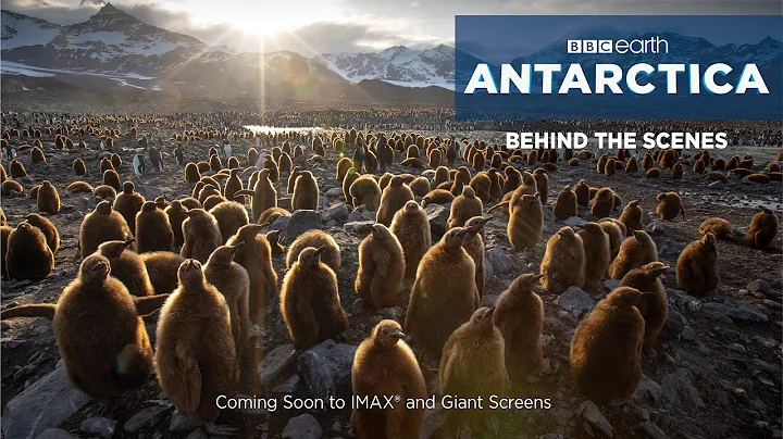 BBC Earth Behind the Scenes - Meet the Director - ANTARCTICA
