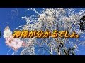 ♫神様が分かるでしょ。子供賛美歌より。友よ歌おう。歌詞付き。