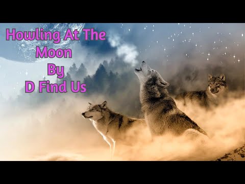 Howling At The Moon By D Find Us Tomer Katz Ft VIGZ Best English Song 