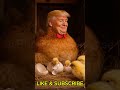 trumps chickens #shorts #chicken