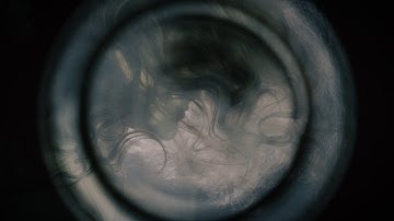 Vula Viel - Official Music Video: Well Come