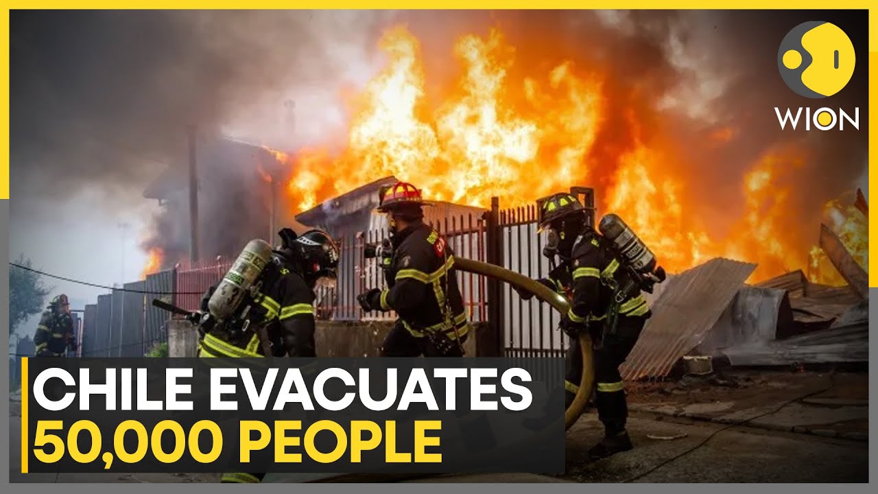 Chile Wildfires: Forest Fires Rage As 50,000 Are Evacuated In Chile | WION