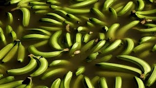 Ouganda : Des Sacs En Fibres De Banane