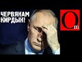 Кина о величии кощея не будет. Европа заявила о полном отказе от нефти и газа