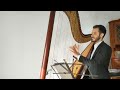 Fabio rizza harpist  cant help falling in love by elvis presley