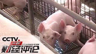 《央视财经评论》因“猪”施策 更要力促产业转型升级 20191117 | CCTV财经