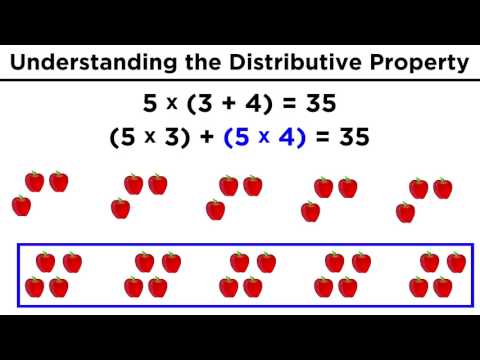 The Distributive Property