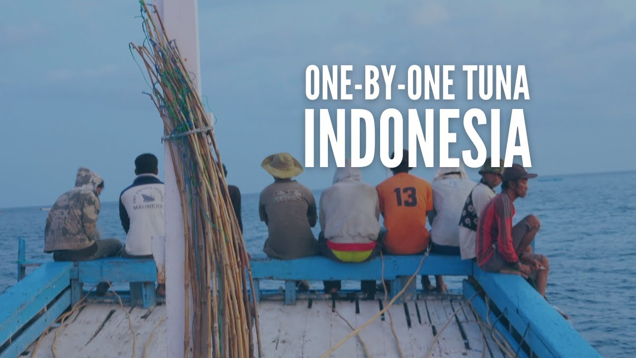 Onebyone tuna fishing in Indonesia YouTube