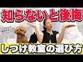 【要注意】犬のしつけ教室って意味ある?失敗しない選び方をプロが解説