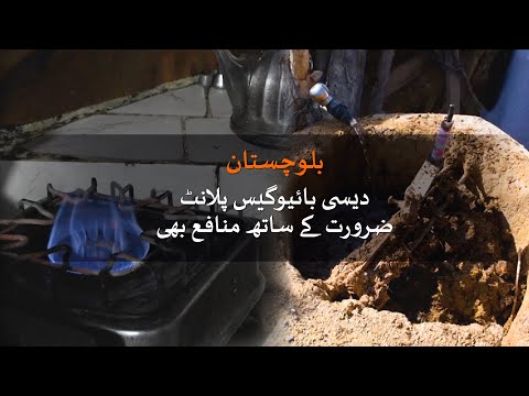 Balochistan: Desi bio gas plant a source of fuel and money | Loksujag
