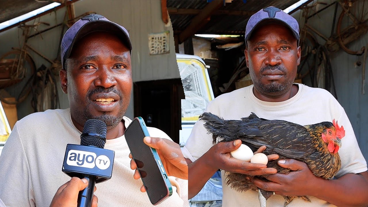 KUKU WA AJABU ARUSHA, ANATAGA MAYAI MAWILI KWA MPIGO, ANA MATUNDU MAWILI