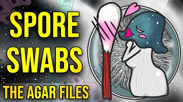 Sporeswabs on Agar - The Agar Files