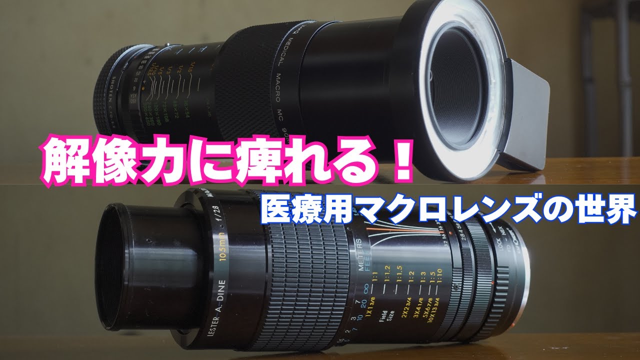 レンズ(単焦点) ELICAR V-HQ MEDICAL MACRO MC 90mm F2.5 海外輸出用だった古の Elicar V-HQ Macro MC 90mm F2.5で博多うろうろ